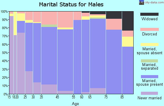 Kalamazoo County marital status for males