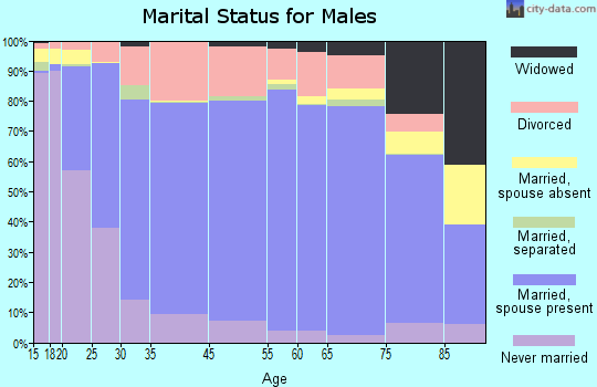 Otsego County marital status for males