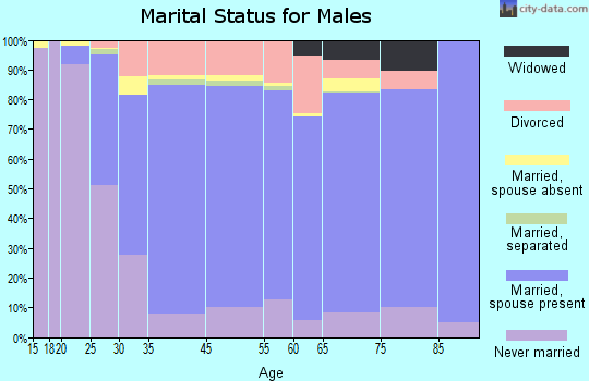 Henderson County marital status for males