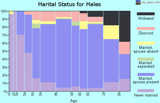 Madison County marital status for males