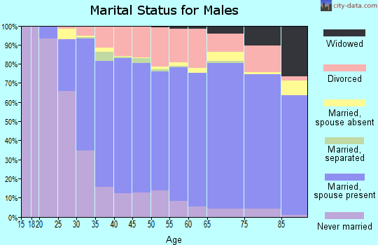 Crow Wing County marital status for males