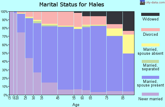 Shoshone County marital status for males