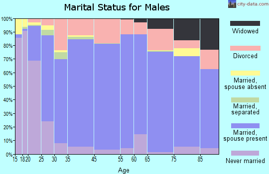 Boone County marital status for males