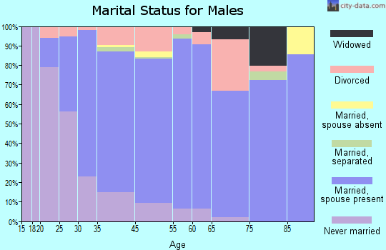 Le Sueur County marital status for males