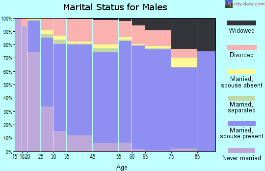 Hall County marital status for males