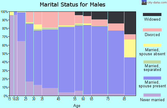 Appanoose County marital status for males