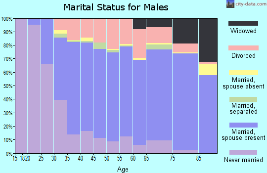 Clinton County marital status for males