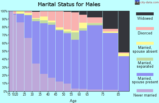 Dorchester County marital status for males