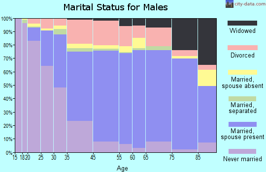 Little River County marital status for males