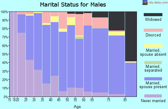Davison County marital status for males