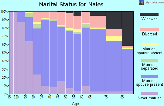 Bosque County marital status for males