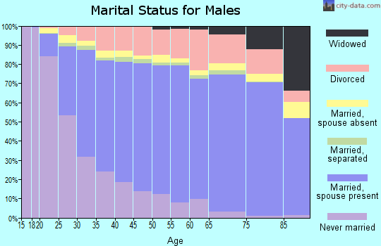 Salt Lake County marital status for males