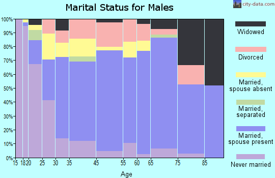 Hancock County marital status for males