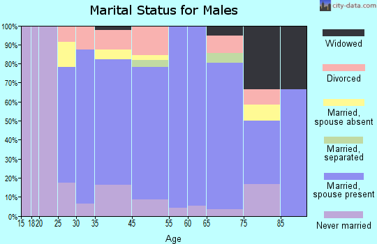 Kent County marital status for males