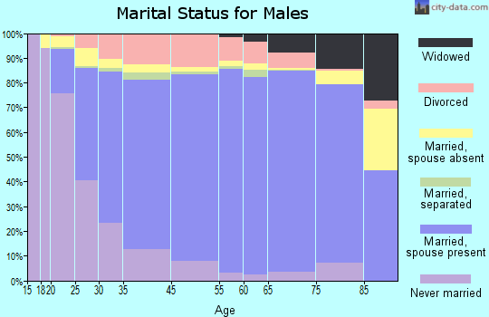 Lee County marital status for males