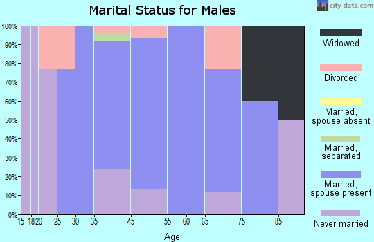 Ravalli County marital status for males