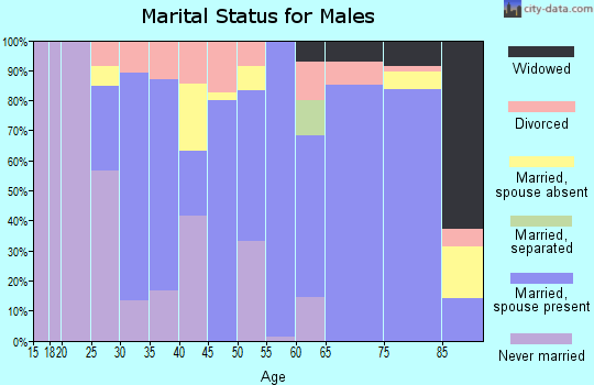 Custer County marital status for males