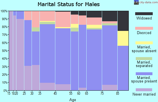 Twin Falls County marital status for males