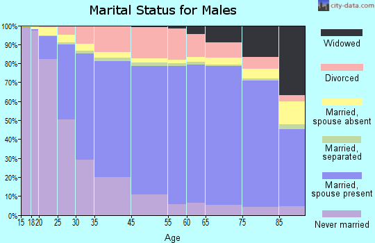 Chickasaw County marital status for males