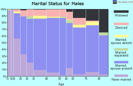 Lyon County marital status for males
