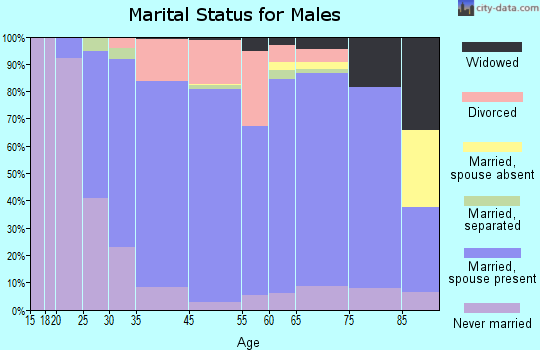 Henry County marital status for males