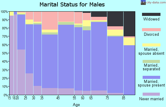 Alpena County marital status for males