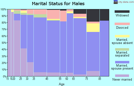 Coleman County marital status for males