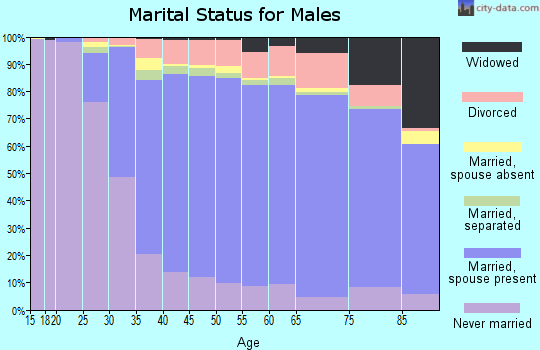 Sussex County marital status for males