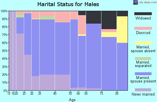 Lonoke County marital status for males