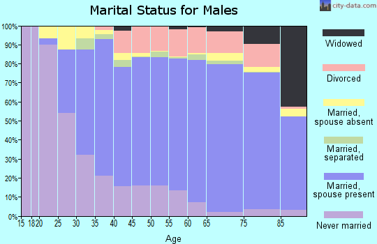 Chatham County marital status for males