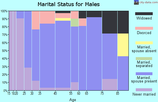 Dawson County marital status for males