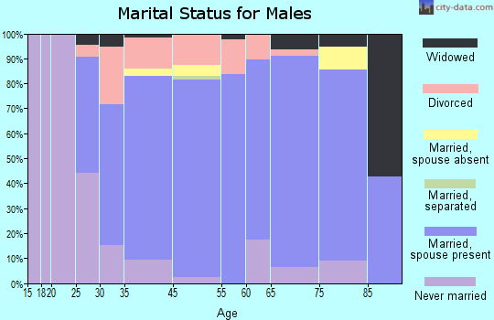 Love County marital status for males