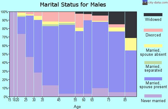 Hanover County marital status for males