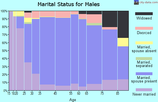 Morgan County marital status for males