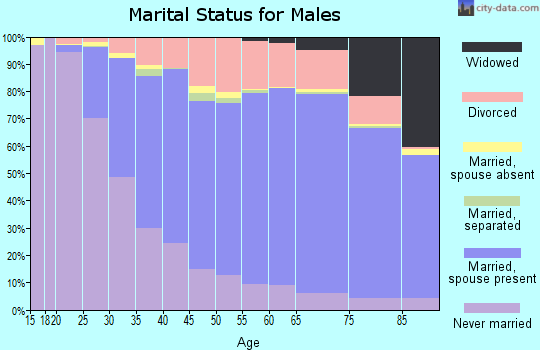Kent County marital status for males