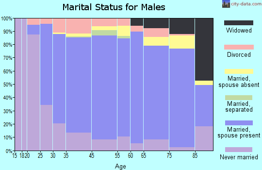 Decatur County marital status for males
