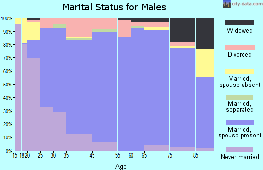 Johnson County marital status for males