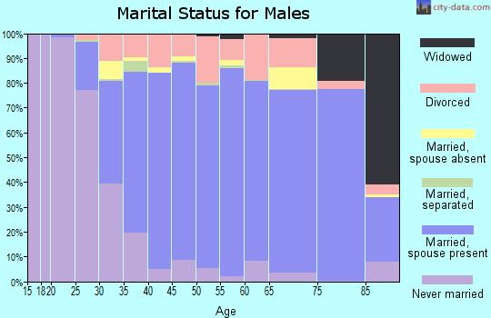 Elbert County marital status for males
