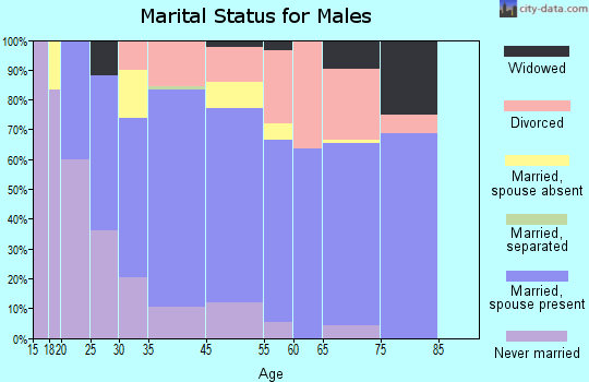 Lapeer County marital status for males