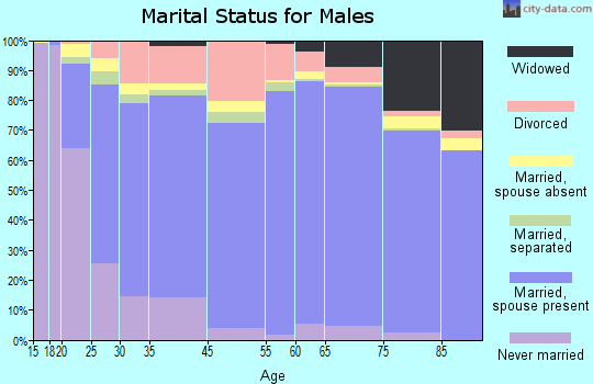 Elko County marital status for males