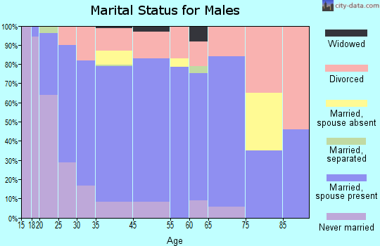 Lowndes County marital status for males