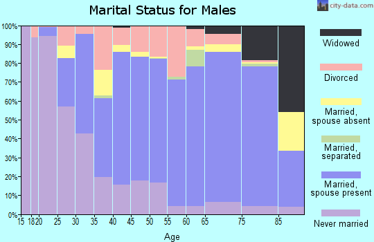 De Witt County marital status for males
