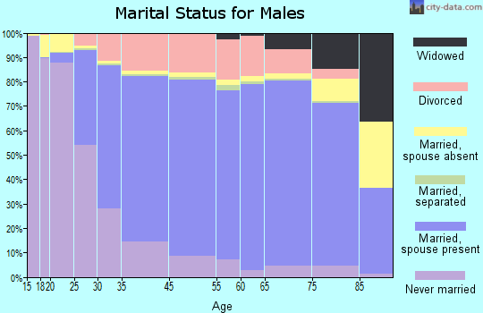 Henrico County marital status for males