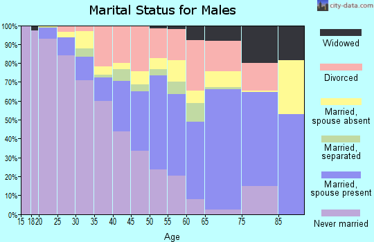 Somerset County marital status for males