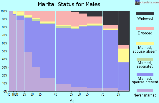 Madison County marital status for males