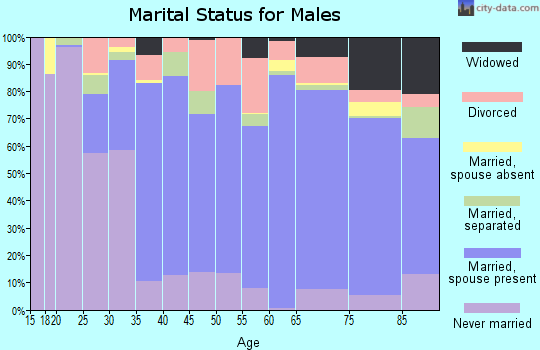 Holt County marital status for males