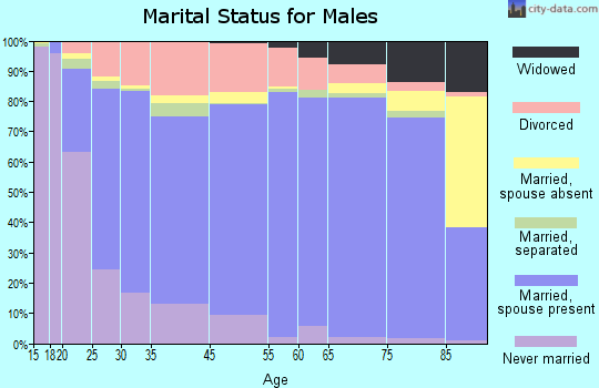 Broome County marital status for males