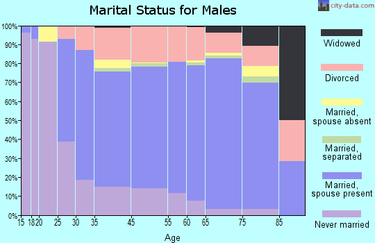 Williamsburg County marital status for males