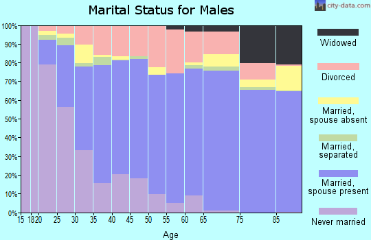 Bedford County marital status for males