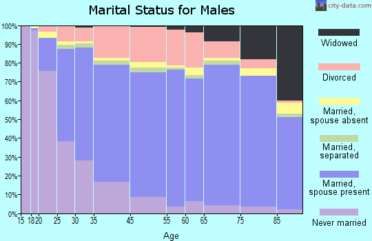 Fairbanks North Star Borough marital status for males